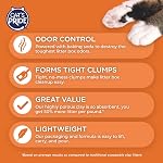 Oil DRI C01945-C60 Lightweight Cat Litter, 10lb