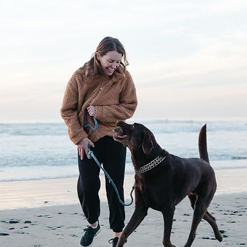 Miniatura 7 de LOS ANDES Collar de cadena para perro, collar de martingala de metal, sin tirones, collar antideslizante para perro, collar de entrenamiento