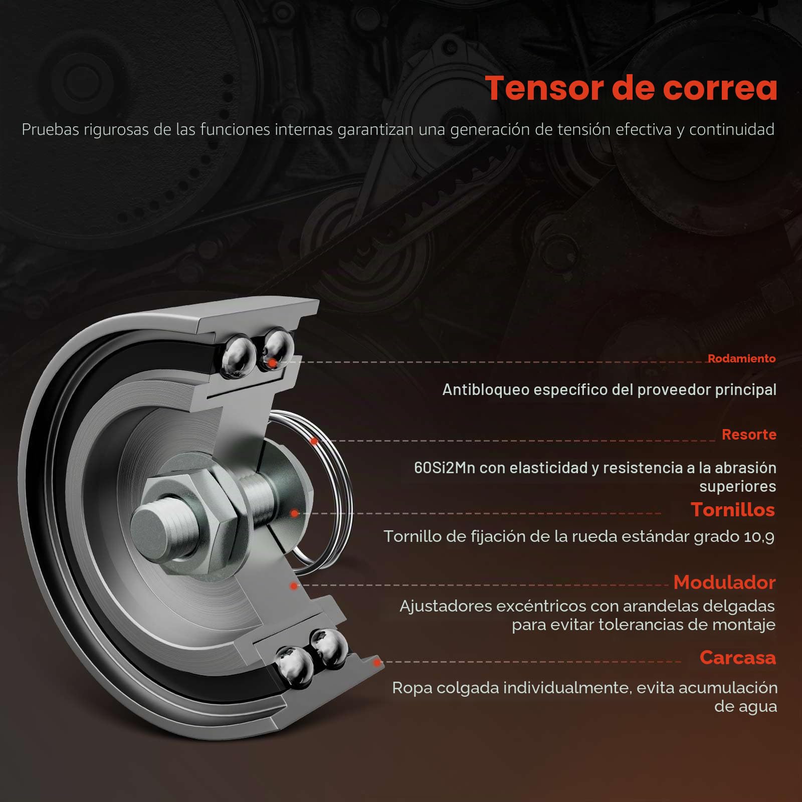 Frankberg Kit de correa de distribución correa de distribución con bomba | Compatible con: VF7 nervioso, S40 II 544, 607 9D 9U, S-Max WA6, V50 545, Caja/familiar Focus II, Ulises 179