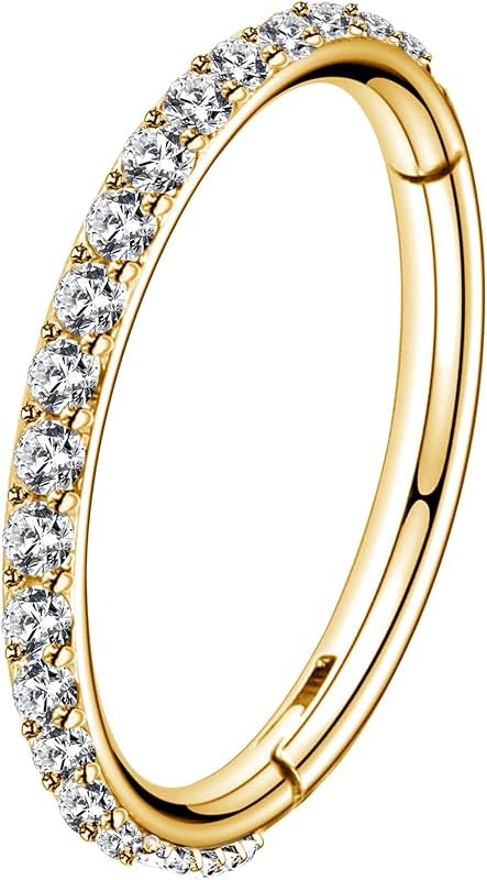 OUFER Gold Hinged Segment Earring Hoop 16G Stainless Steel with Cartilage Earrings Clear CZ Paved Tragus Helix Earrings Cartilage Earring Septum Nose Ring Hoop