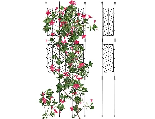 10 Best Support for Climbing Plants Outdoor in 2024: Unbiased Reviews