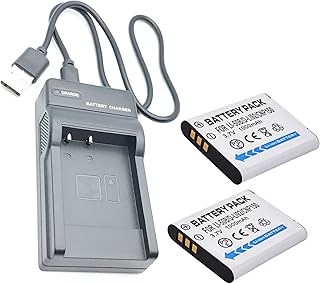 2 Battery and USB Travel Charger for Olympus VR-340, VR-350, VR-360, VR-370 Digital Camera