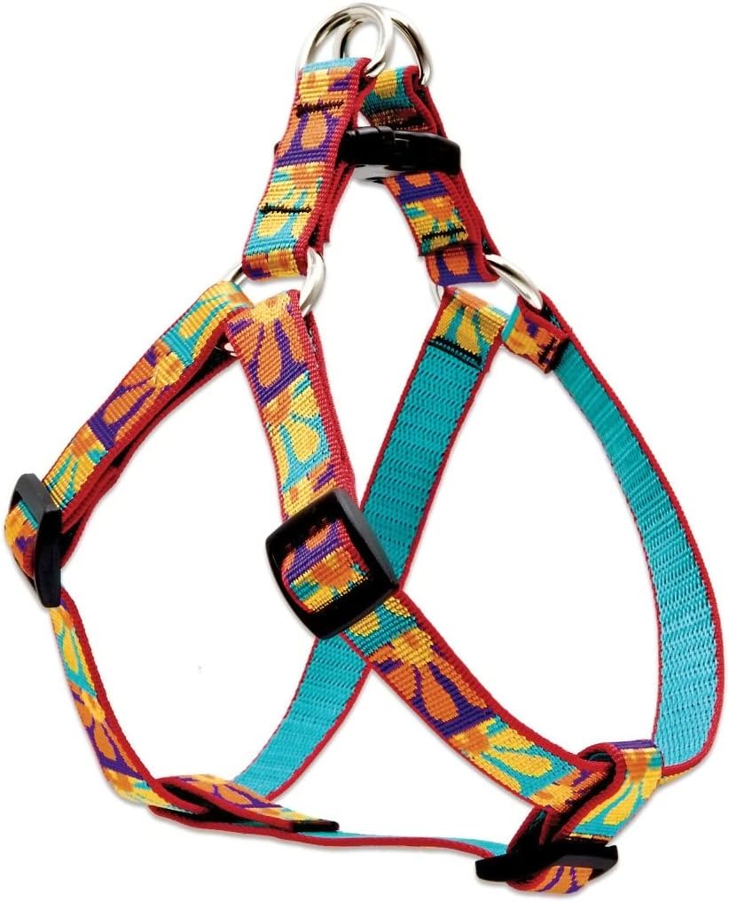 LupinePet Originals 3/4" Crazy Daisy 20-30" Step In Harness for Medium Dogs