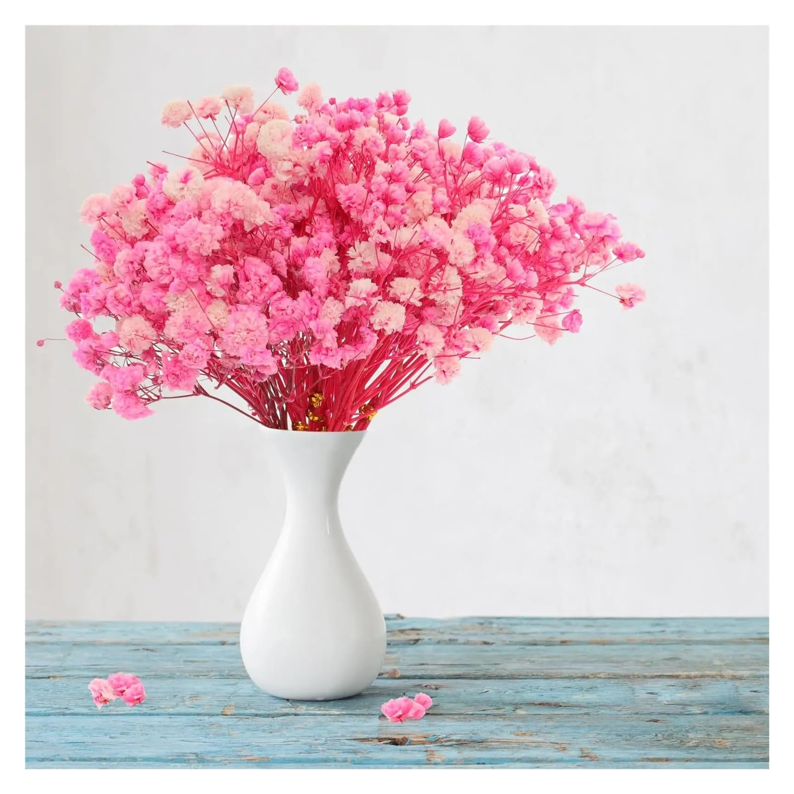 gypsophile séché 10 Bouquets de Fleurs gypsophile séchées Roses for Les événements Mariage