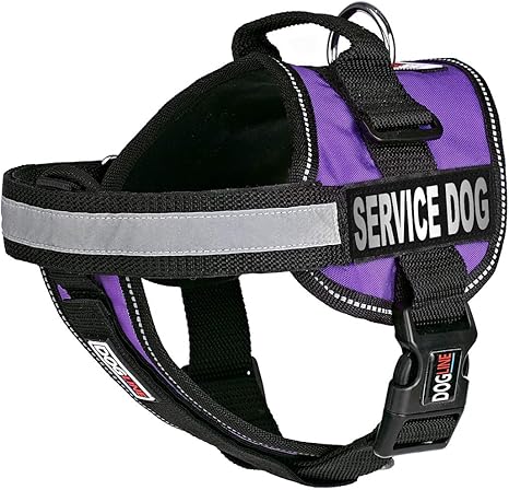 amazon dog service vest
