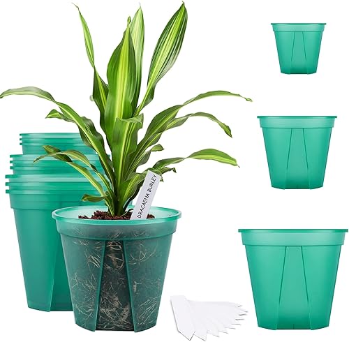 Maceta de plástico transparente de 456 pulgadas con orificio de drenaje, contenedores decorativos modernos para plantas, hierbas, flores y cactus