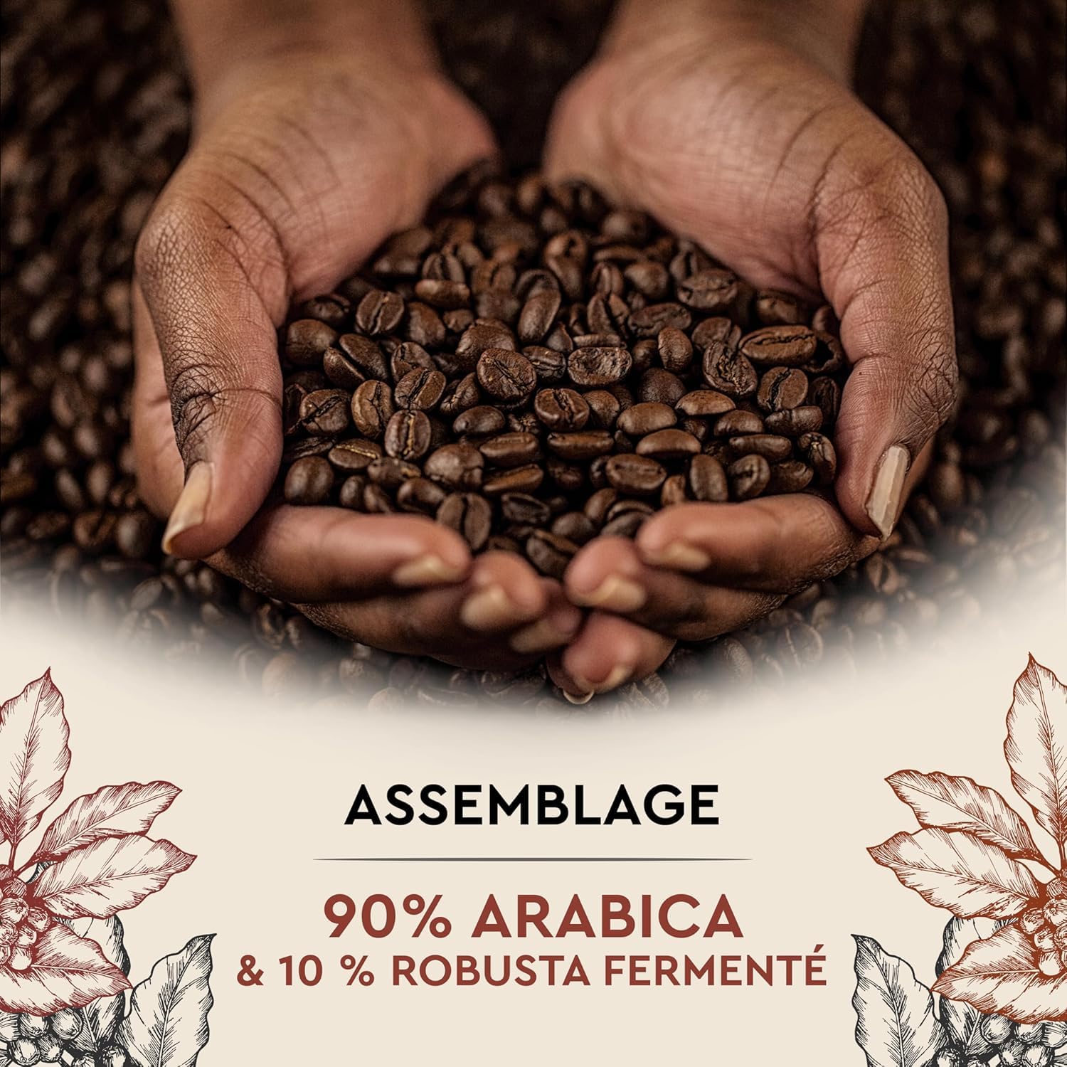 CARTE NOIRE - Café en Grains - Cuvée de caractère - 2Kg