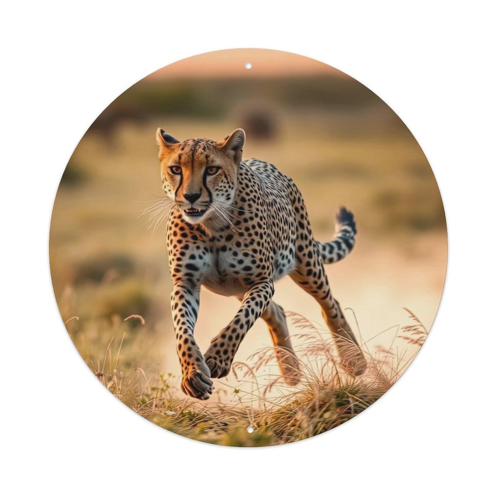 Cwbufd Vintage Style Animal Cheetah Running In African Savannah Sunset Wildlife Photography Vintage Metal Tin Sign Plaque Wall Decor For Cafe, Club Bar, Office, Garden Metal Poster 8X8inch