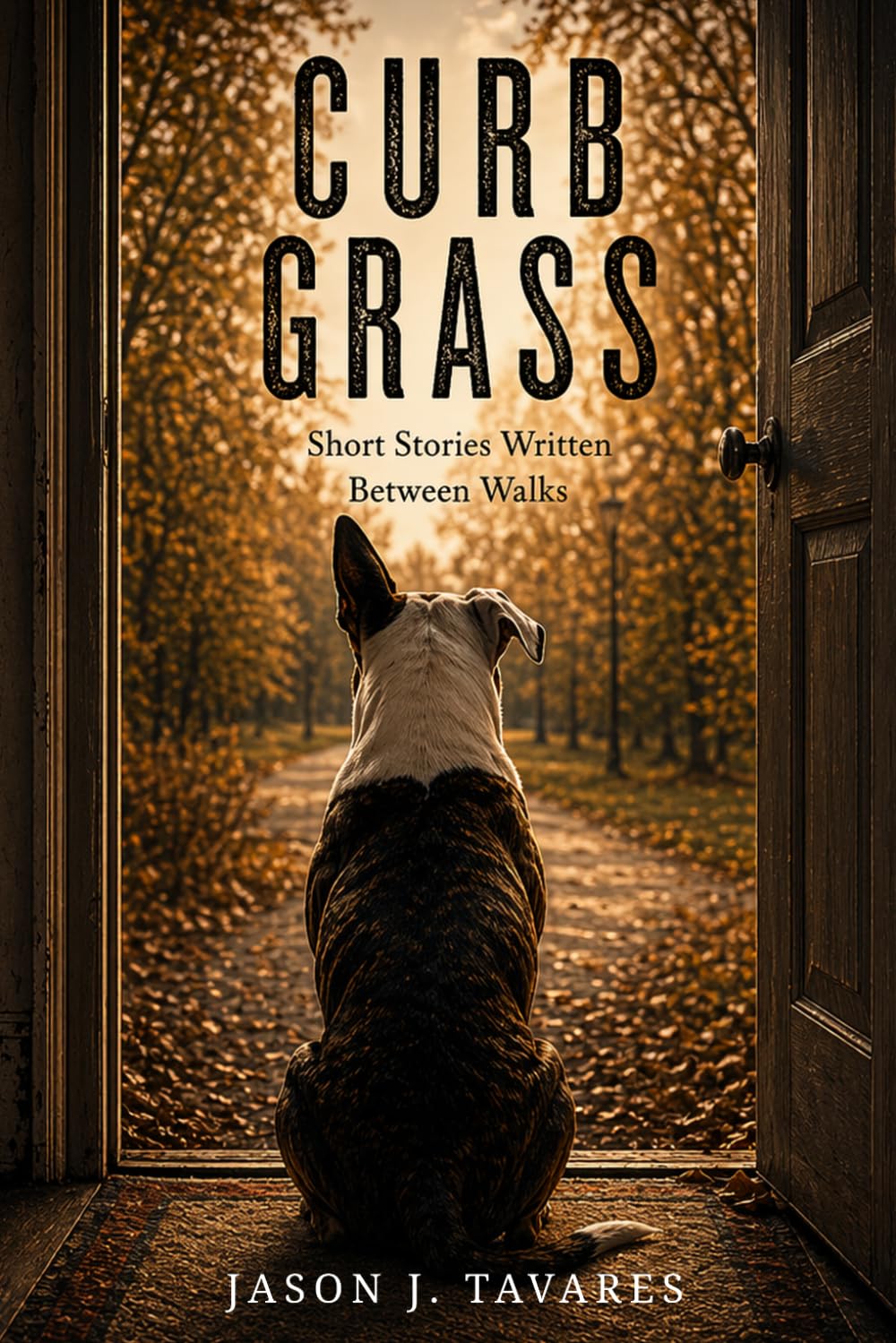 Curb Grass: Short Stories Written Between Walks