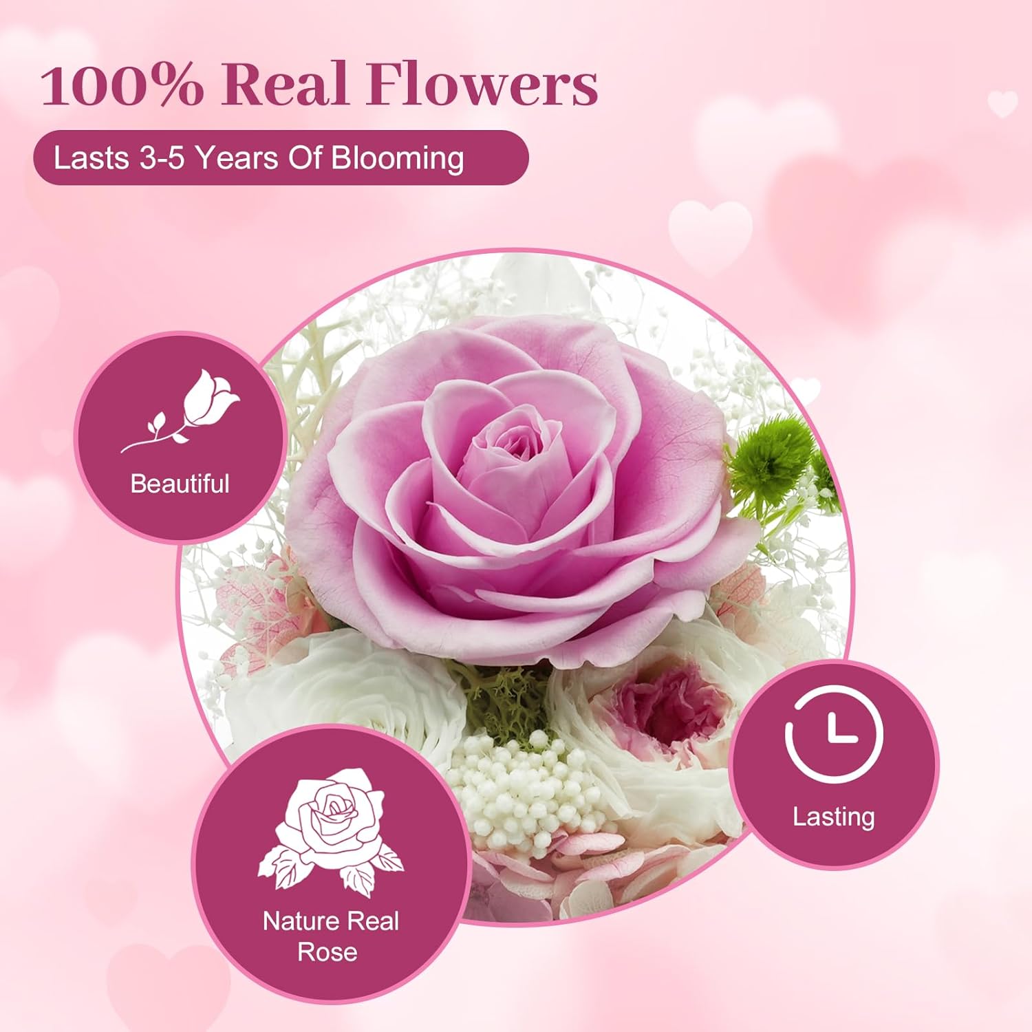 Preserved Flowers Birthday Gifts for Her Preserved Rose in Glass Dome Forever Fresh Flowers for Delivery Prime Eternal Pink Rose Gifts for Women Wife Mom Sister on Anniversary Valentines Day - Image 2