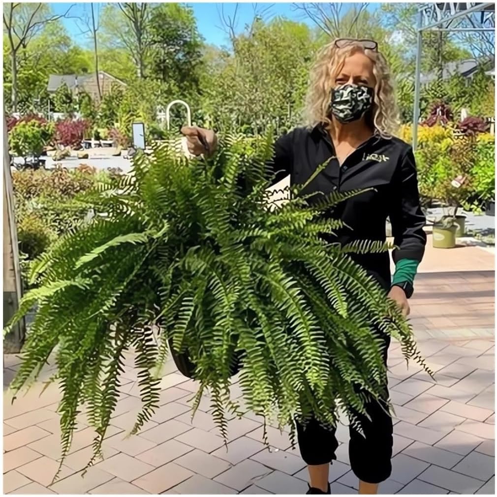 UV Resistant Lifelike Artificial Boston Fern - New Faux Boston Ferns Outdoor Planter Large, Realistic Fake Fern Hanging Silk Fern Stems Indoor Basket Plant Urn Fillers Front Porch (6, Green)