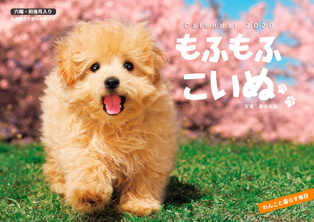 もふもふこいぬ インプレスカレンダー 森田米雄 本 通販 Amazon