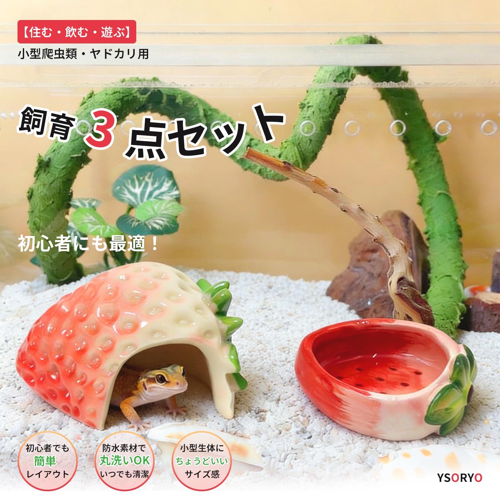 Amazon | YSORYO 爬虫類 シェルター 3点セット いちご 樹脂製＋陶器水