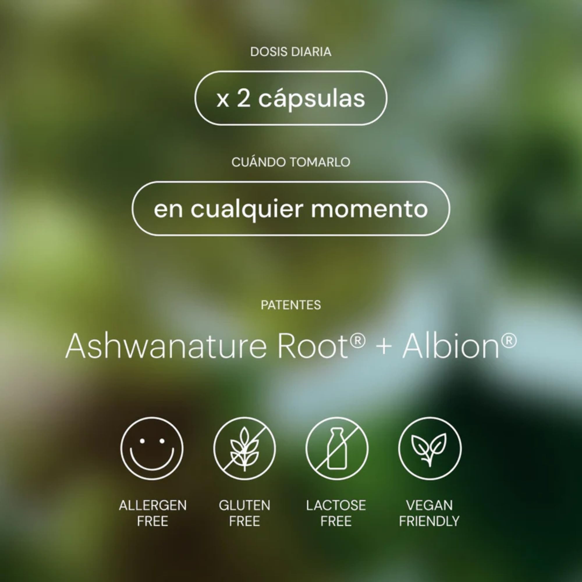 Ashwagandha y Magnesio Soporte para el Cortisol + Vitamina B6 + Ginkgo Biloba + Reishi - Nootrópicos Naturales para Promover Calma + Memoria y Concentracion 60 Cápsulas Veganas | be calm - be levels