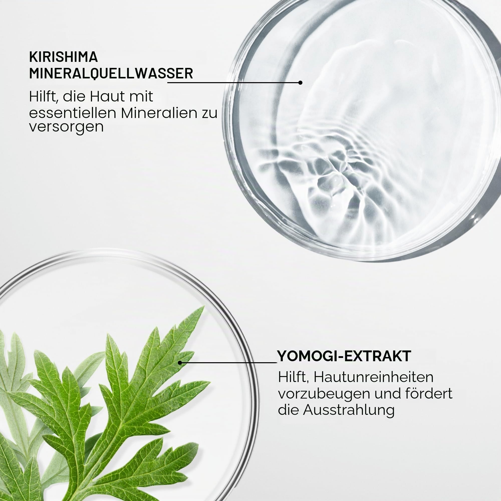 Shiseido Treatment Softener Lotion