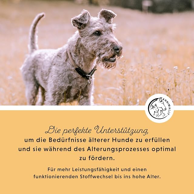 Foto 3 de 7 de Annimally Senior Vital 120 Comprimidos Articulares para Perros con MSM, Jengibre, Incienso, Spirulina