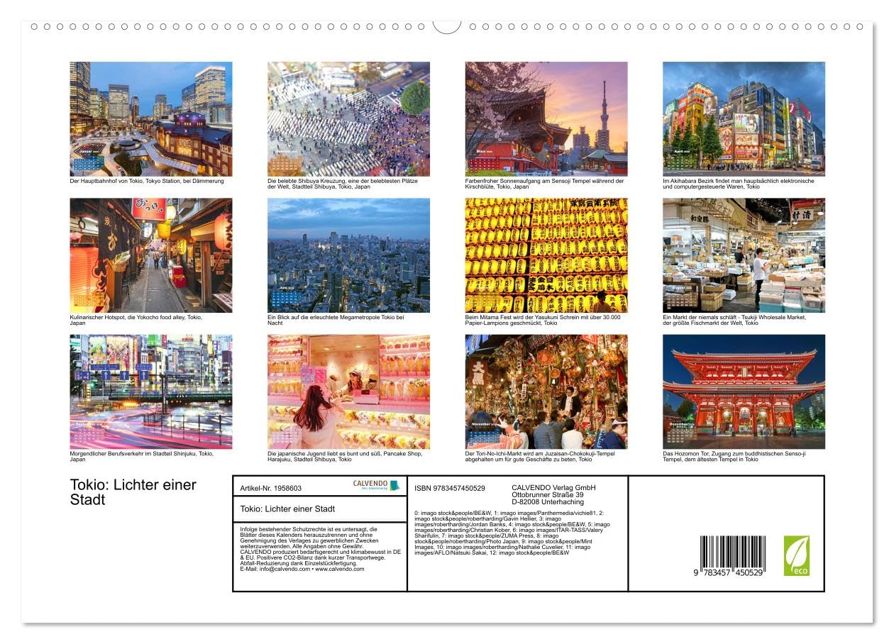 Tokio: Lichter einer Stadt (hochwertiger Premium Wandkalender 2026 DIN A2 quer), Kunstdruck in Hochglanz: Tokio: Japans Haupstadt bei Nacht (CALVENDO Orte)