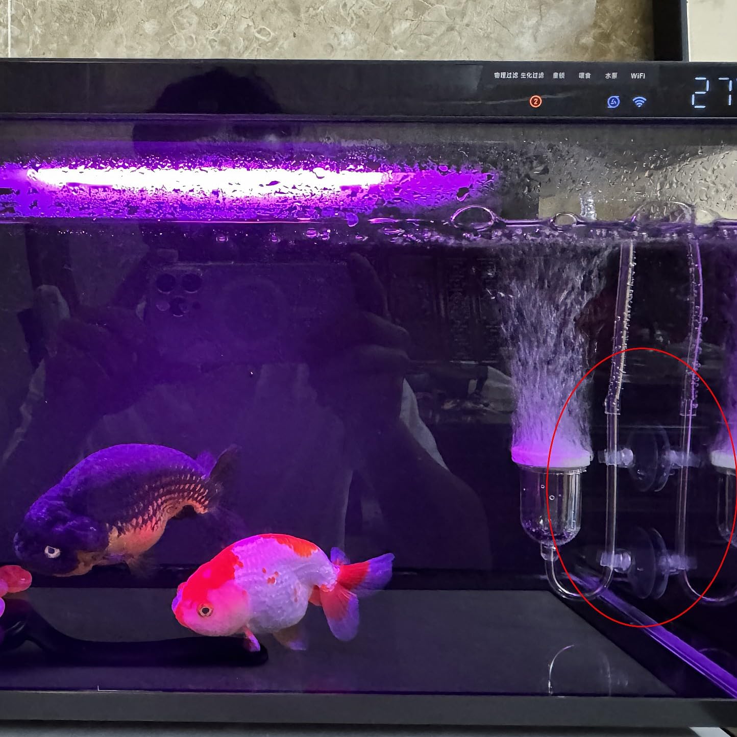 JZK 20PCS Clip a ventosa per acquario per tubo dell'aria dell'acquario da 4-6 mm, ventosa per tubo dell'aria per acquario, tubo della compagnia aerea Morsetto trasparente per supporto del tubo dell'ar