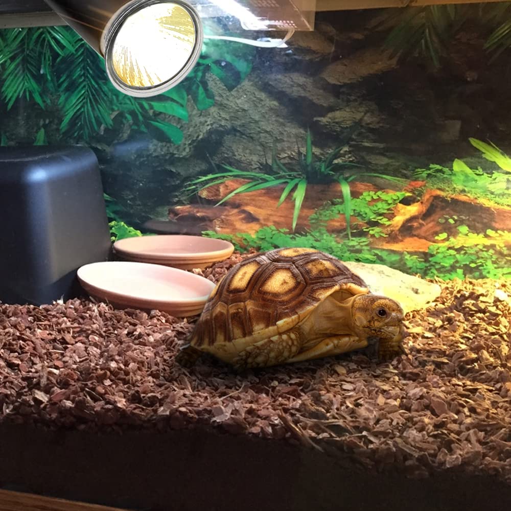 Uva Uvb Reptile Light Bulbs Pack 50w Basking Light Desertcart