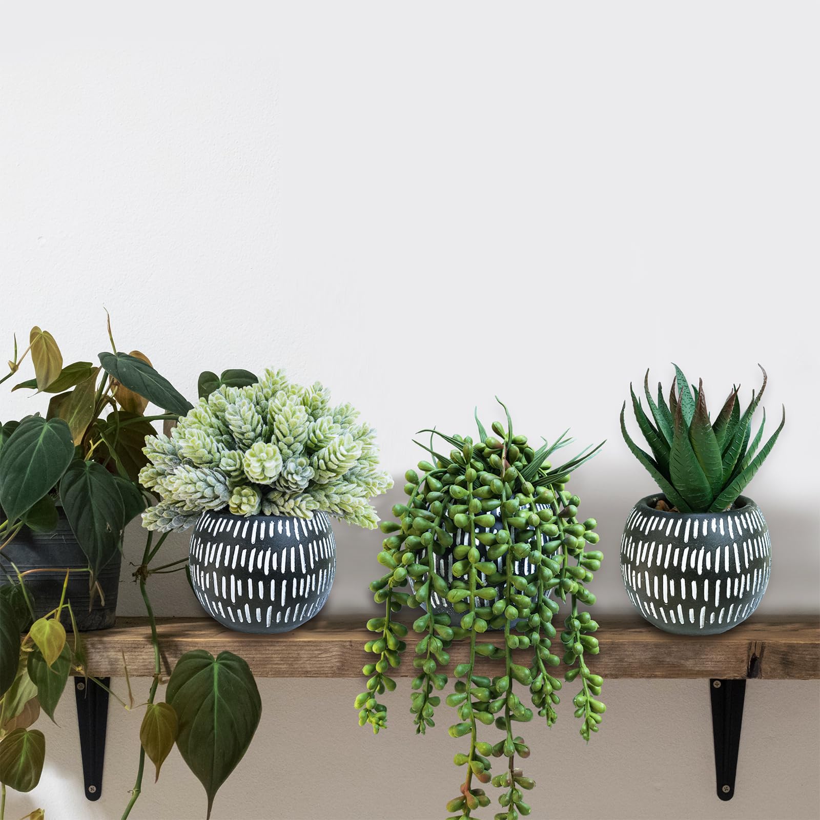 Winlyn Juego de 3 pequeñas plantas suculentas artificiales en maceta, lúpulo de aloe sintético, colgantes en macetas de hormigón negro, para regalo, hogar, oficina, baño, sala de estar, boda, alféizar