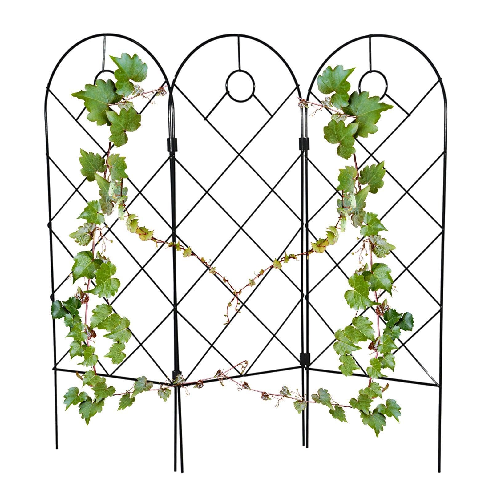 Trellis für Zimmerpflanzen, Spalier für Zimmerpflanzen | Indoor | Topfstützen für den Innenbereich Garten Metallgarten für Kletterpflanzen - Topfstützen für Spalier