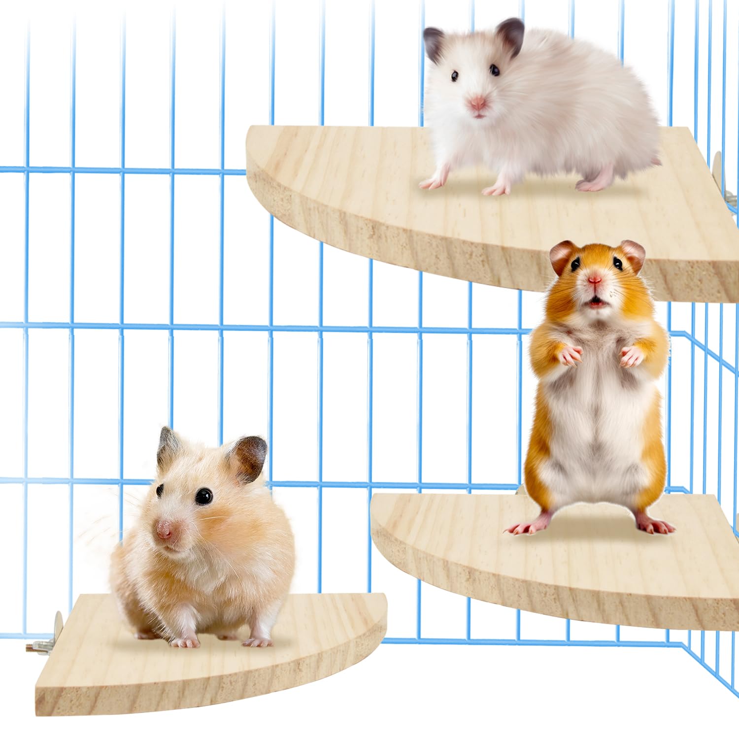Keboyoe 3 Pcs Plataformas de Hámster Madera Natural Plataforma de Percha de Jaula de Esquina para Loros Ardilla Conejillo de Indias Hámster (Grande,Mediano y Pequeño)