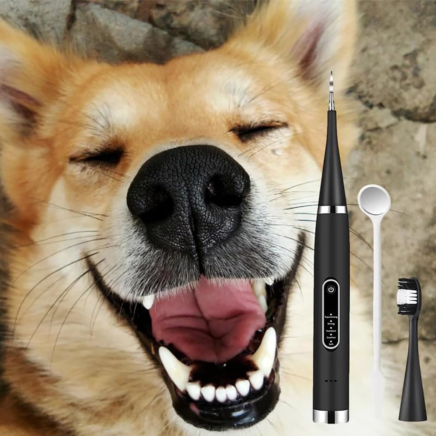 Yunbim Rare Pet Tooth Cleaner, My Petlab Canident Tooth Cleaner