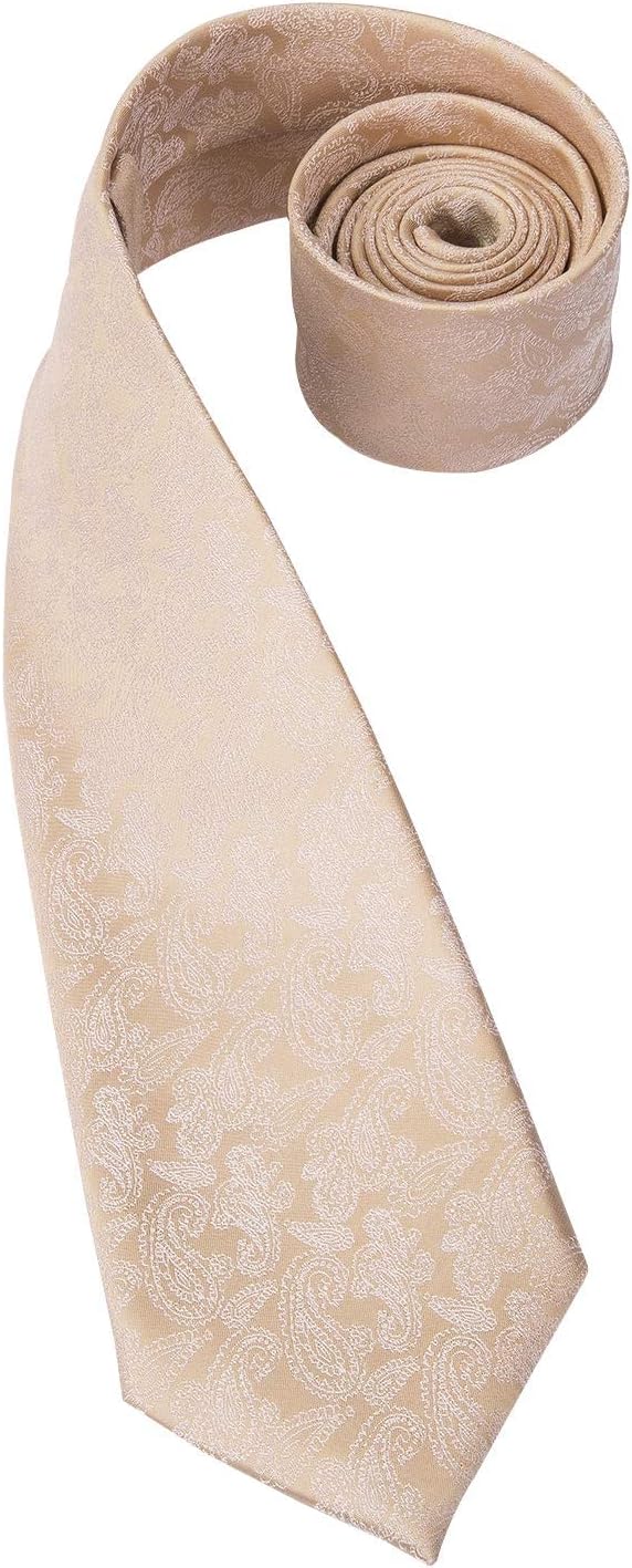 Hi-Tie Silk Paisley Ties for Men Necktie Pocket Square Cufflinks Set Foral Tie Sets Formal Business - Image 5