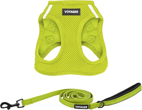 Best Pet Supplies Voyager Step-In Air - Arnés de malla para todo tipo de clima y correa reflectante, de 5' y con asa de neopreno para perros