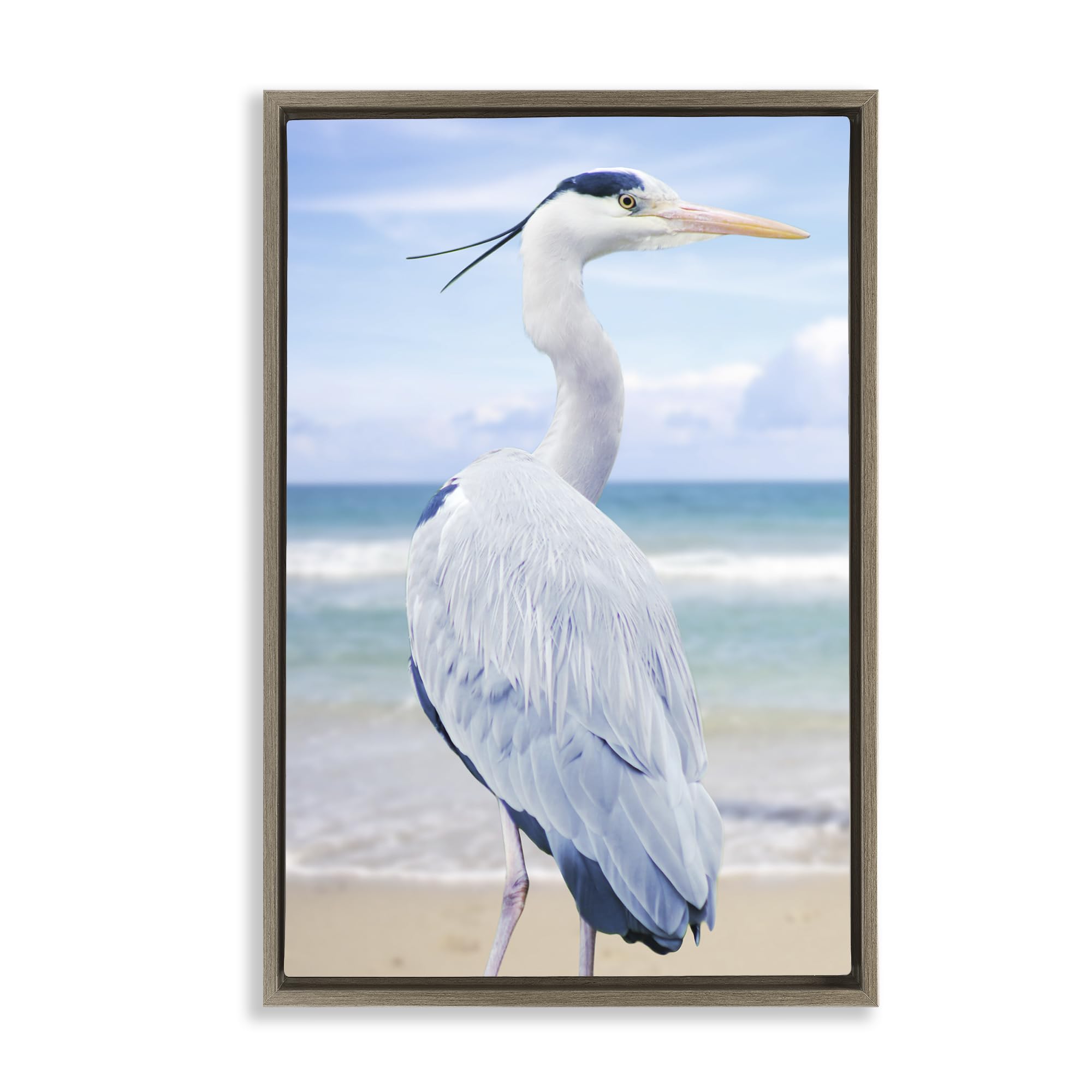 Stupell Industries 'Vacationing Heron by Seaside', Floating Frame Canvas Art, Brown, 21 x 31 Inches, Easy to Hang and Sturdy, Made in USA, by Marcus Prime