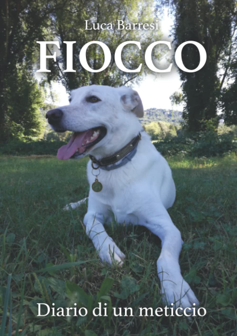 FIOCCO Diario di un meticcio