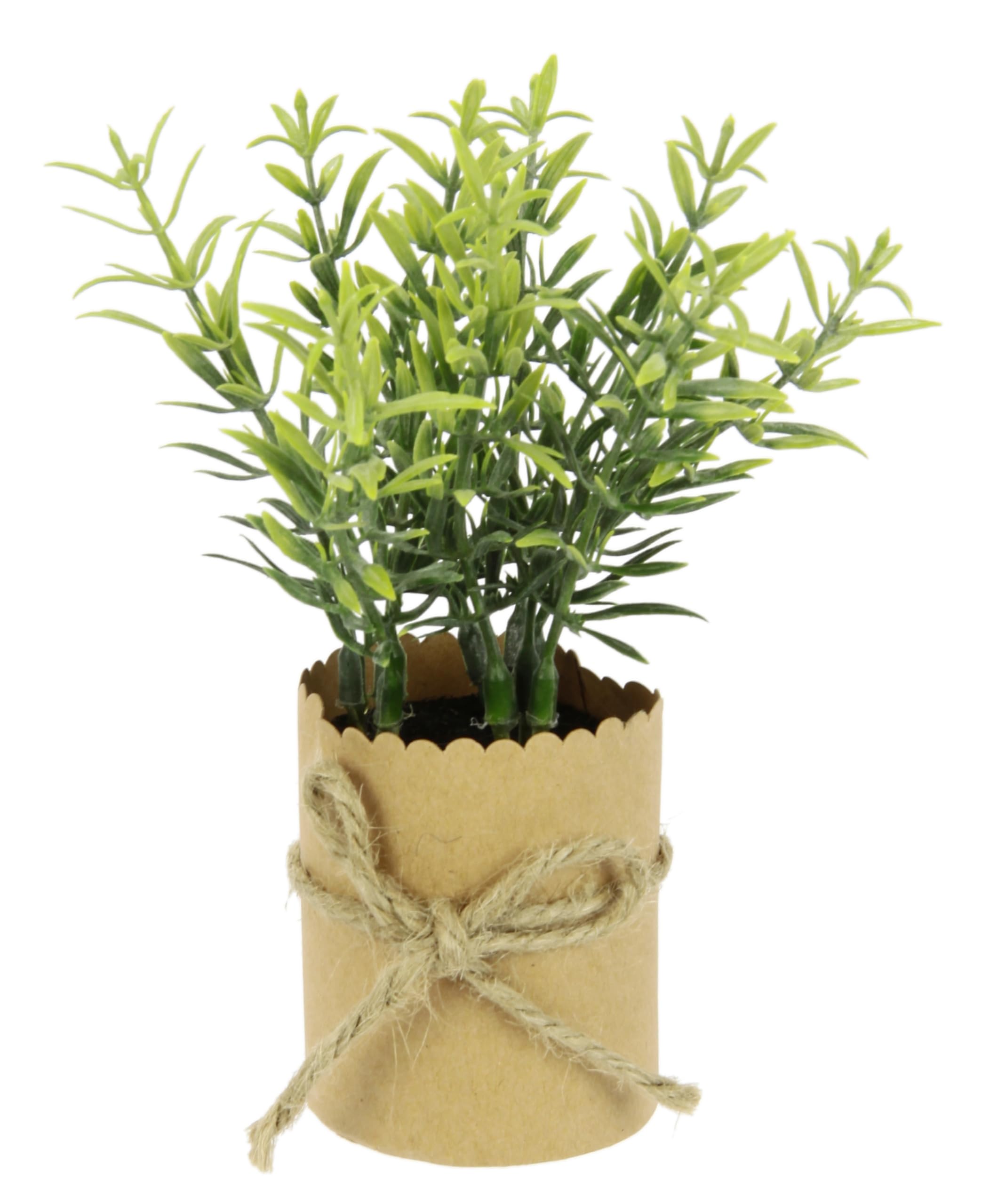 Amazon.de: Knstliches mini Kruter Sortiment im Papiertopf Pflanzen  Kunstpflanzen Eukalyptus Rosmarin Spinat Thymian Basilikum Lauch  Schittlauch Gartenkruter Deko fr Kche Wohnzimmer 6er Set, 12x8x8cm