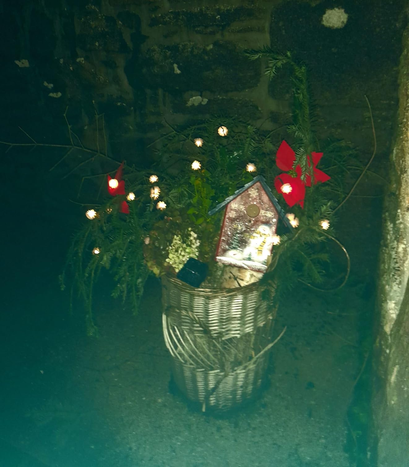 12 Fleurs De Poinsettia à Paillettes – Décorations Noël, Mariage, Sapin, Guirlande – Rouge Doré