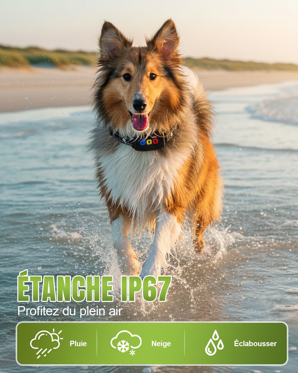 Collier de Dressage pour Chiens Rechargeable avec Télécommande, Bip, Vibration, Forte Vibration, Portée 800m, Étanche IP67, Collier Éducation Chien, pour Petits et Grands Chiens (8-120 lbs)