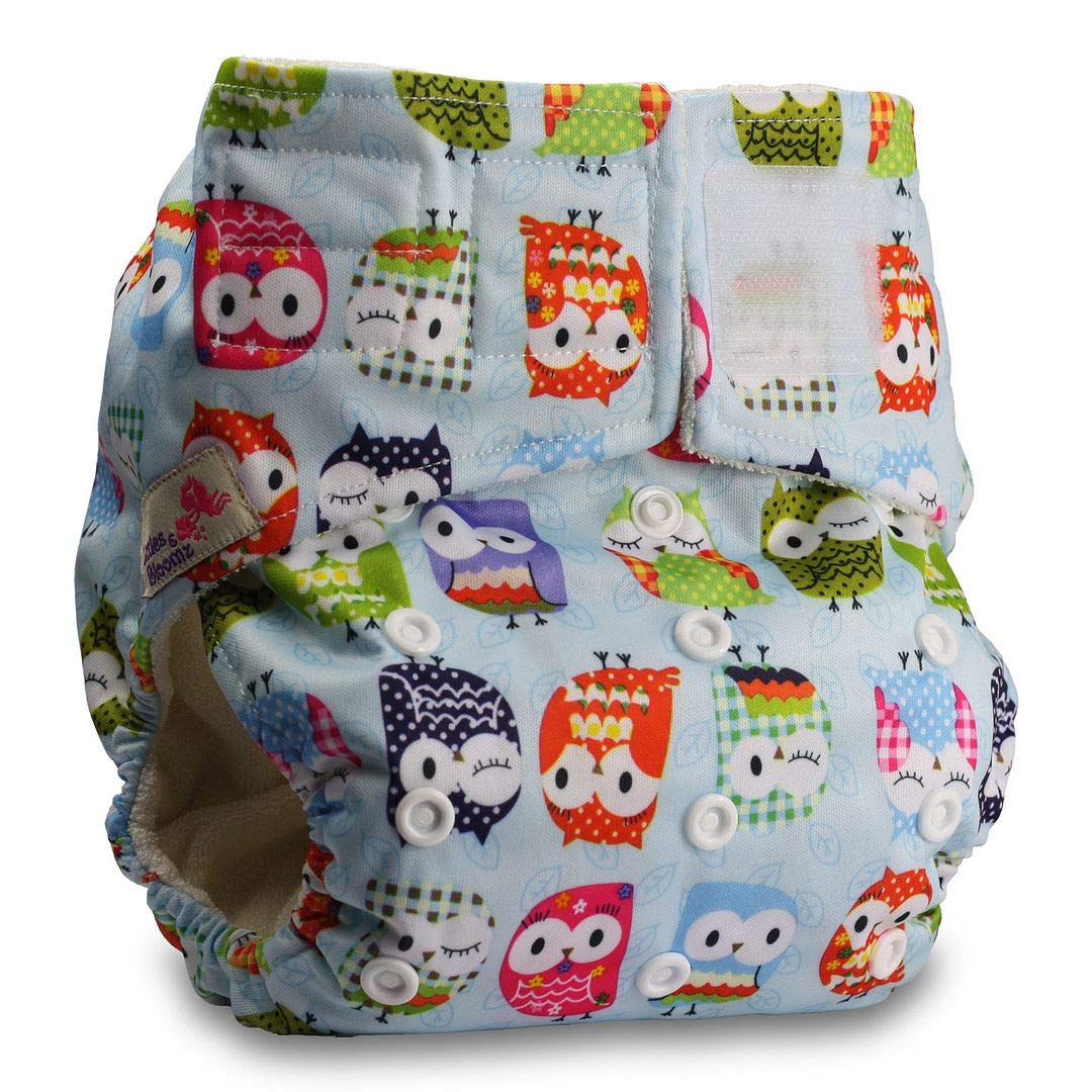 Littles & Bloomz, Baby Cloth Washable Reusable Nappy Pocket Diaper Bamboo, Fastener: Hook-Loop, Pattern 41, with 2 Bamboo Charcoal Inserts