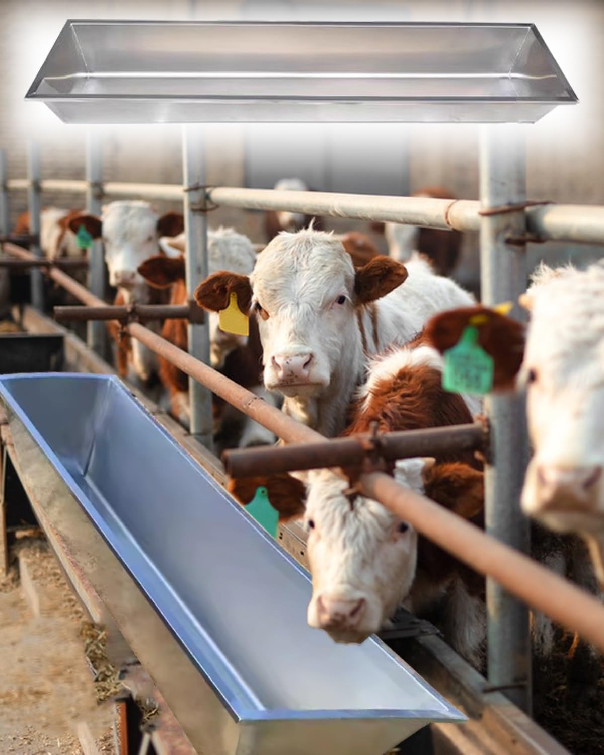 Comedero para Cerdos Comederos para Ganado de Gran Capacidad, Comederos Resistentes para Perros, Mascotas y aves de Corral, Comederos de Acero Galvanizado para Alpacas y Animales de Exterior.(Without