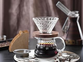 Gugrida コーヒーサーバー ドリップコーヒーサーバー ハンドドリップコーヒーサーバー フィルターペーパー20枚付き、コーヒーポットの蓋1個付属、 耐熱性、耐寒性 高ホウ素シリカガラス素材 (透明, 400ml)