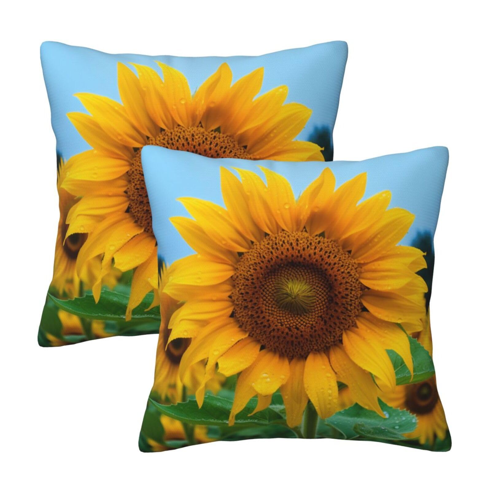Beutiful_Sunflower Throw Pillow Cases 2 Pack Square Pillowcases Soft Pillow Protectors for Couch Livingroom Sofa Bed Office Car,45x45 CM