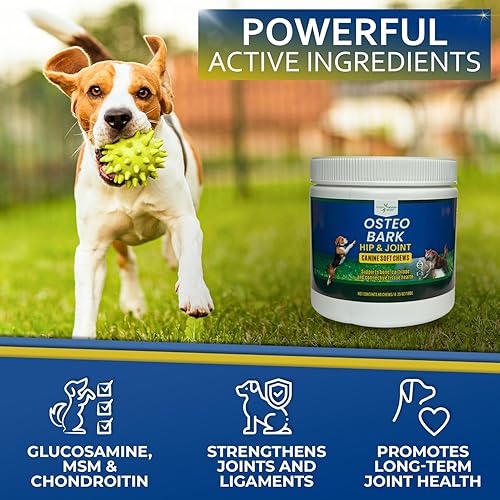 Miniatura 2 de osteobark cadera y articulaciones mascota Suplemento con cúrcuma, glucosamina, condroitina, MSM, todo Natural máxima fuerza alivio de dolor en las