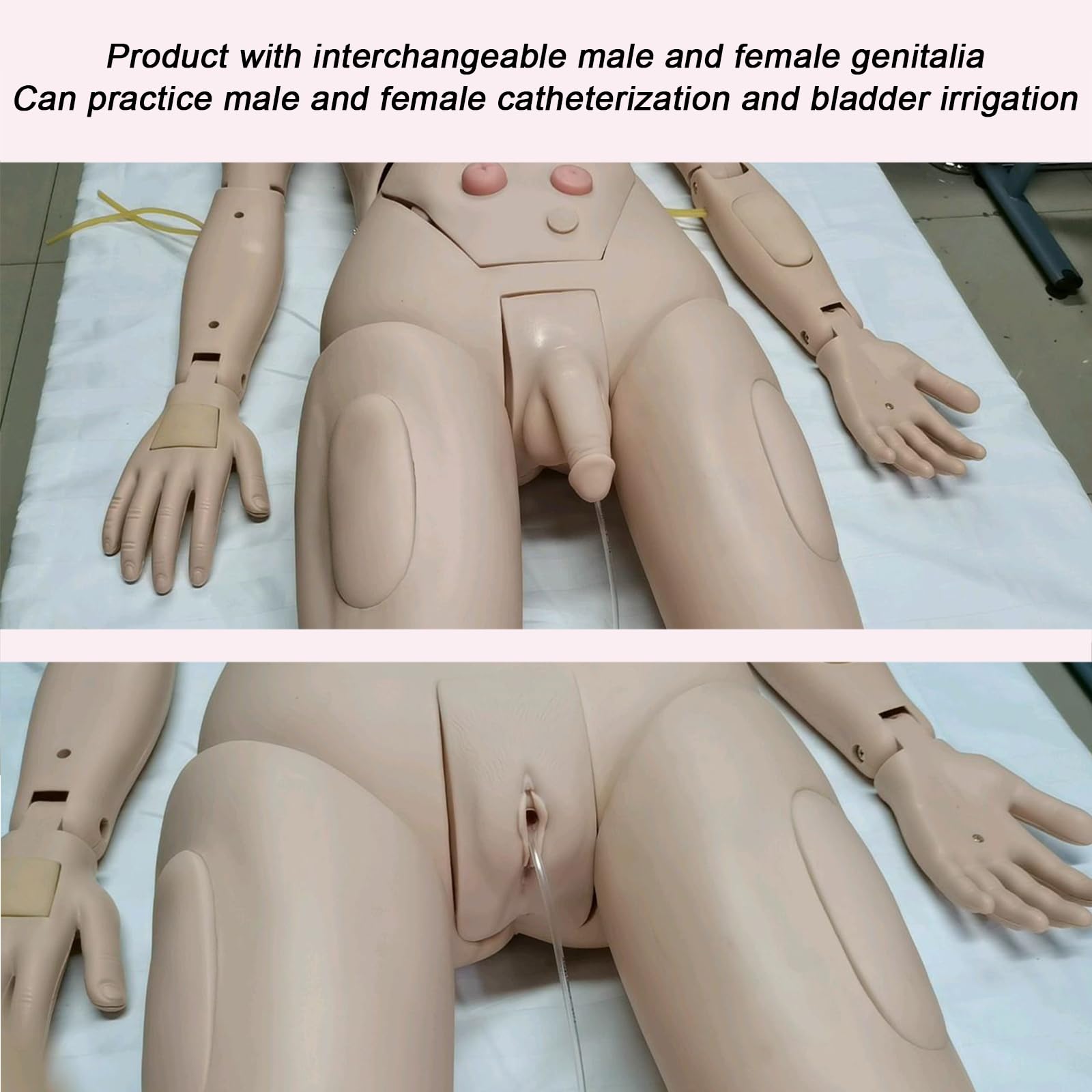 2 juegos 170cm Masculino Maniqui Enfermeria con Vísceras & Genitales Intercambiables & Detalles Realistas RCP Simulador para Enfermería Médico Formación Enseñando y Educación Médico Suministros