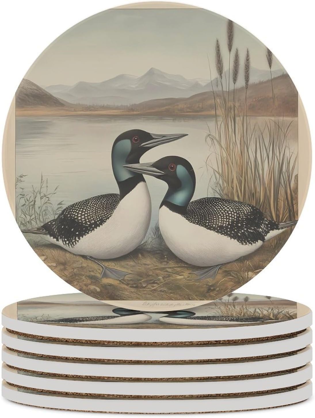 Great Northern Diver Coasters for Drink Round Ceramic Coaster with Cork Base Home Decorative 6PCS