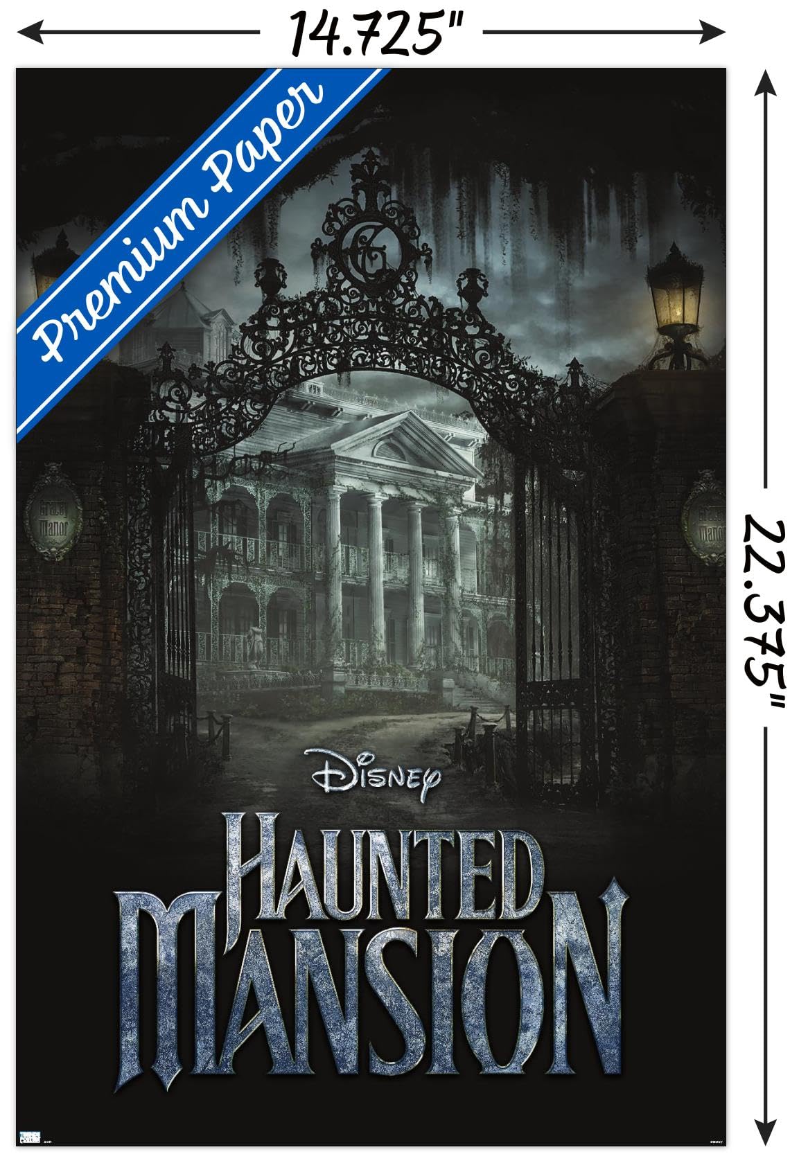 Amazon.com: Disney Haunted Mansion - Mansion Wall Poster, 22.4L