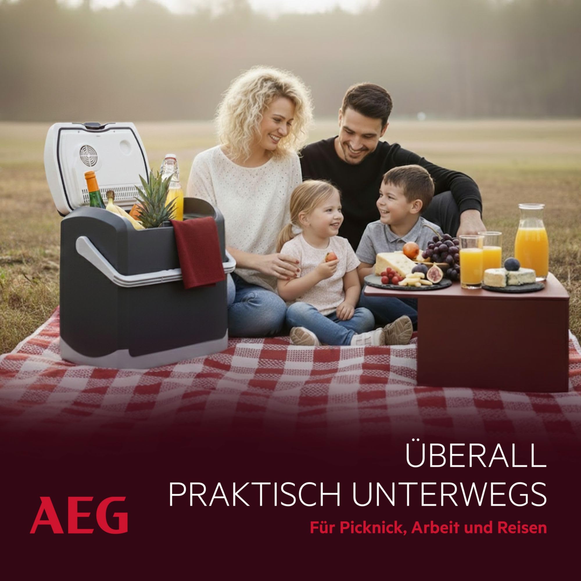 Aeg Automotive 11084 Lodówka, Szary, 44 x 33 x 46 cm; 5.9 kg, 20 l
