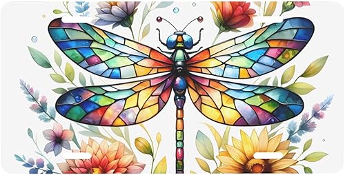 Placa de matrícula delantera de automóvil con 4 agujeros, divertido metal de aluminio para automóvil, accesorio novedoso para nosotros, placa de