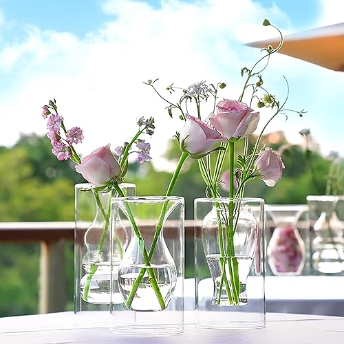 Miniatura 7 de ZENS Jarrón de flores pequeño único, moderno jarrón de vidrio transparente doble hueco, florero decorativo flotante soplado a mano para el hogar,