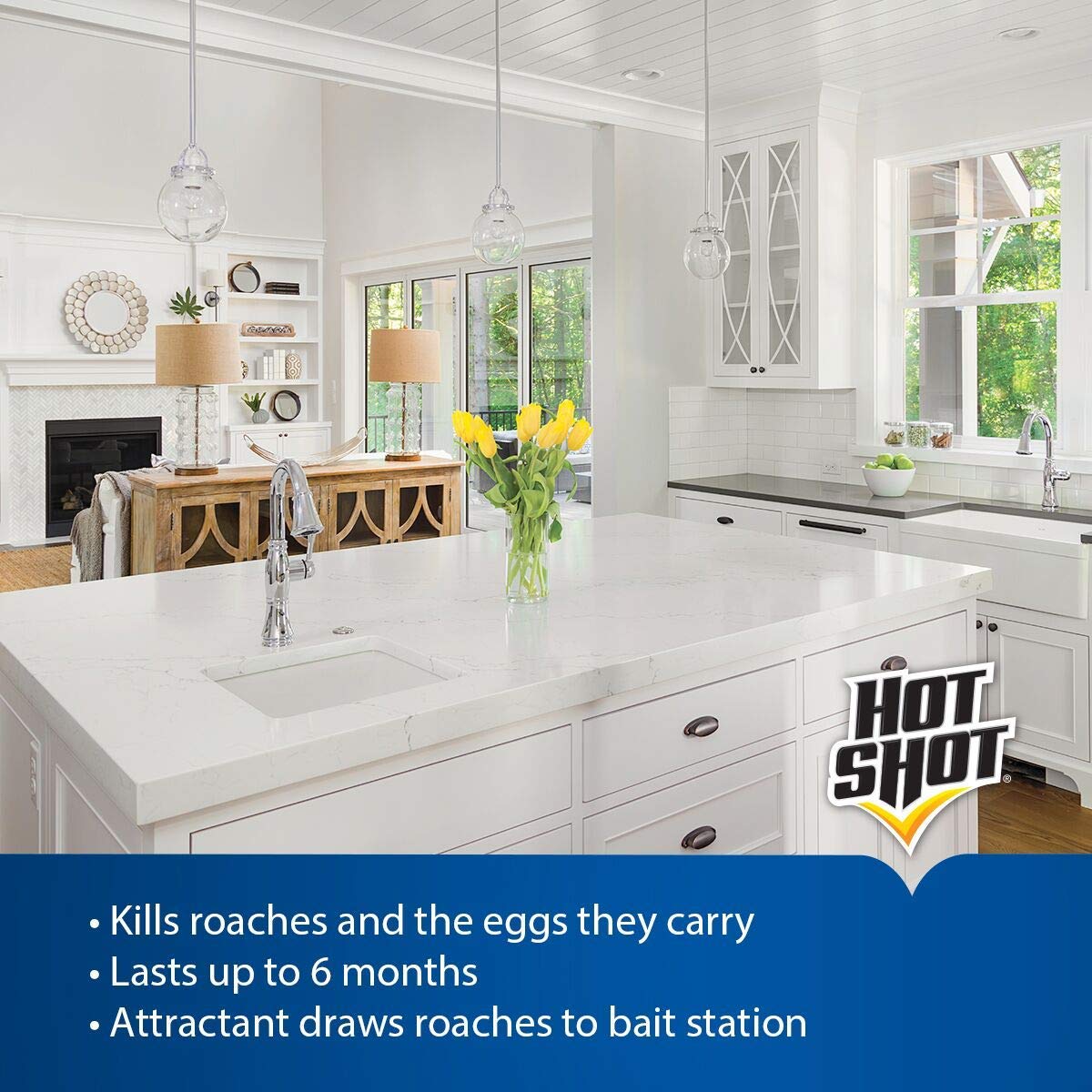 Hot Shot MaxAttrax Roach Bait - 4 Pack