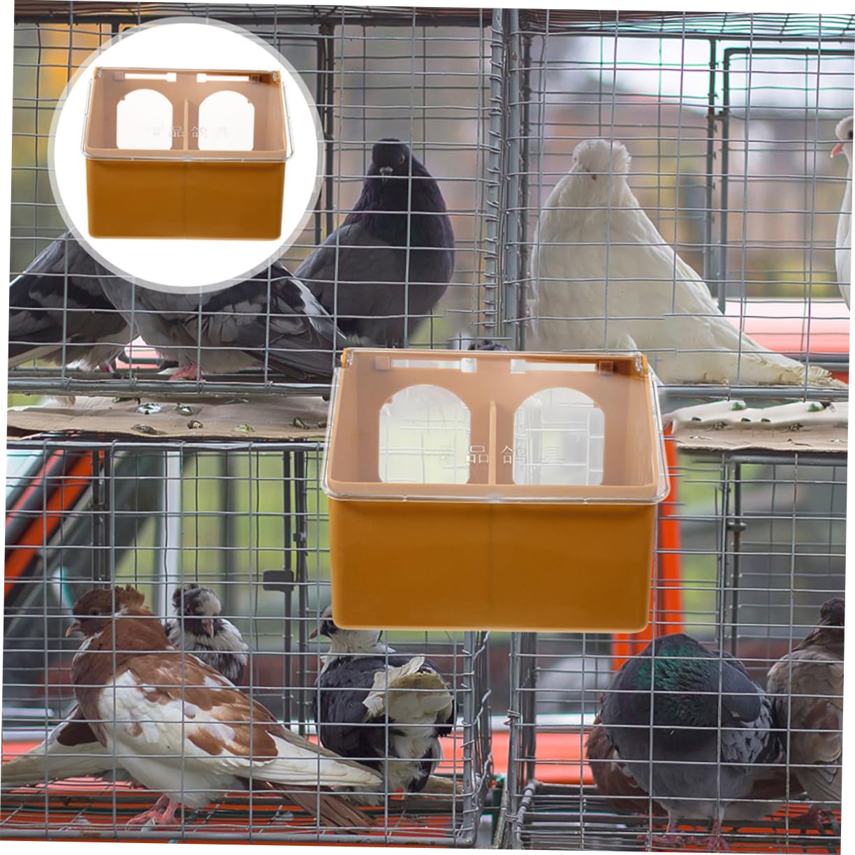 SUPVOX 6piezas Comedero para Pájaros Colgante De Alimentador Multifuncional para Aves para y Cotorras De Instalar y Resistente Accesorios para Jaulas De