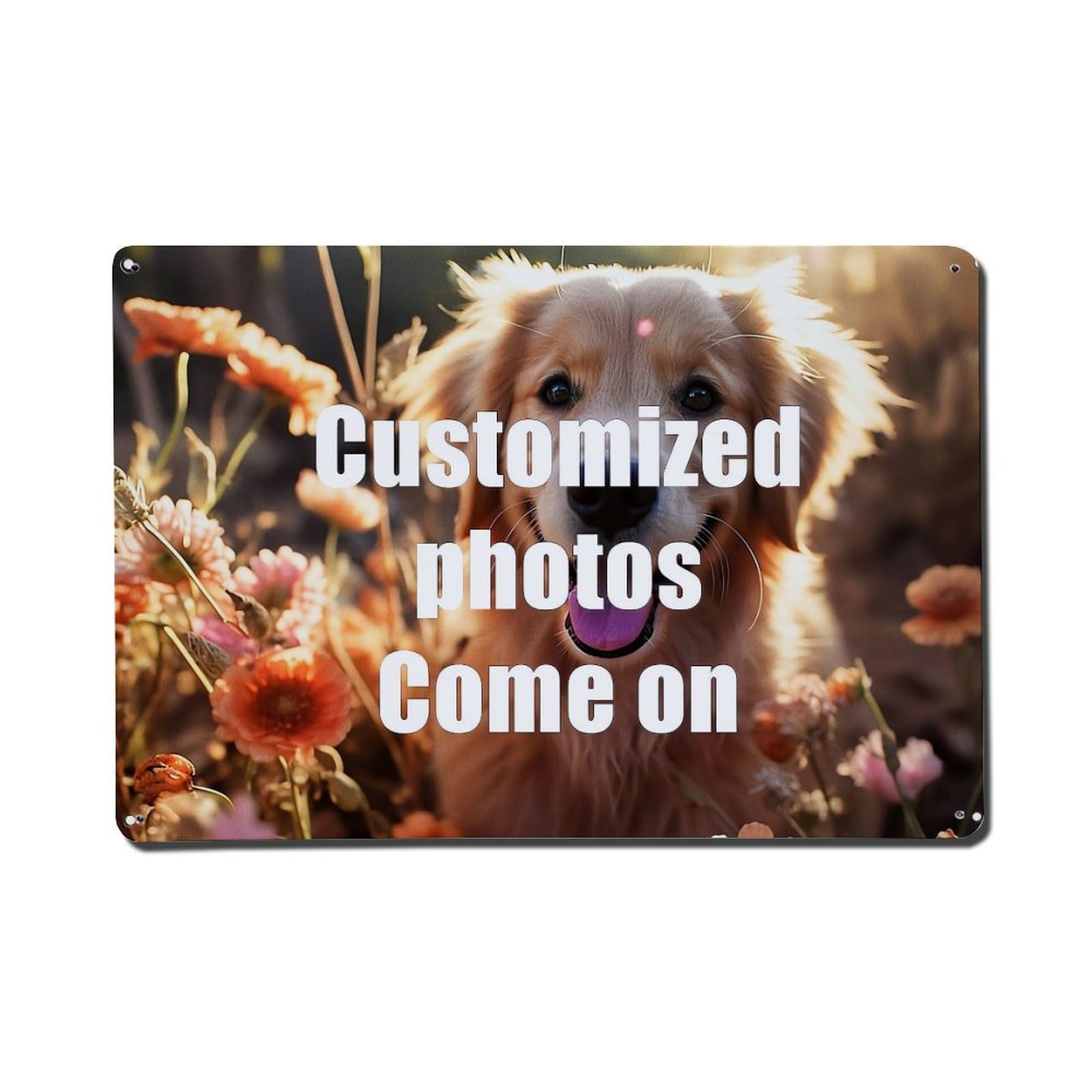 Nestemfo Vintage Customized Photos Come On Now Tin Sign Metal Sign, Living Room,Bar, Home, Bedroom Wall Decor,Retro Metal Poster 8X12 Inches