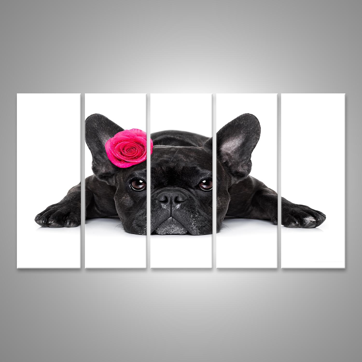 Poster in metallo con bulldog francese, per bagno, soggiorno