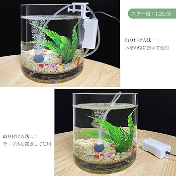 Amazon.co.jp: FEDOUR 一つ吐出口水槽エアーポンプ アクセサリー